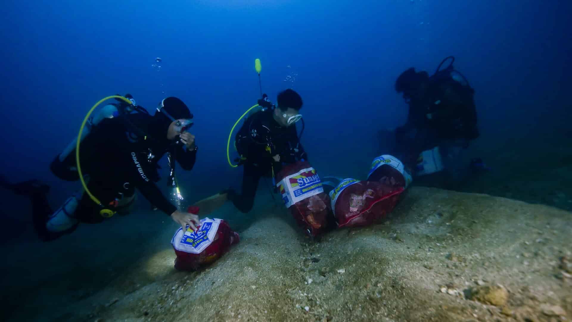 生物分類法 - 第 1 類：地形類