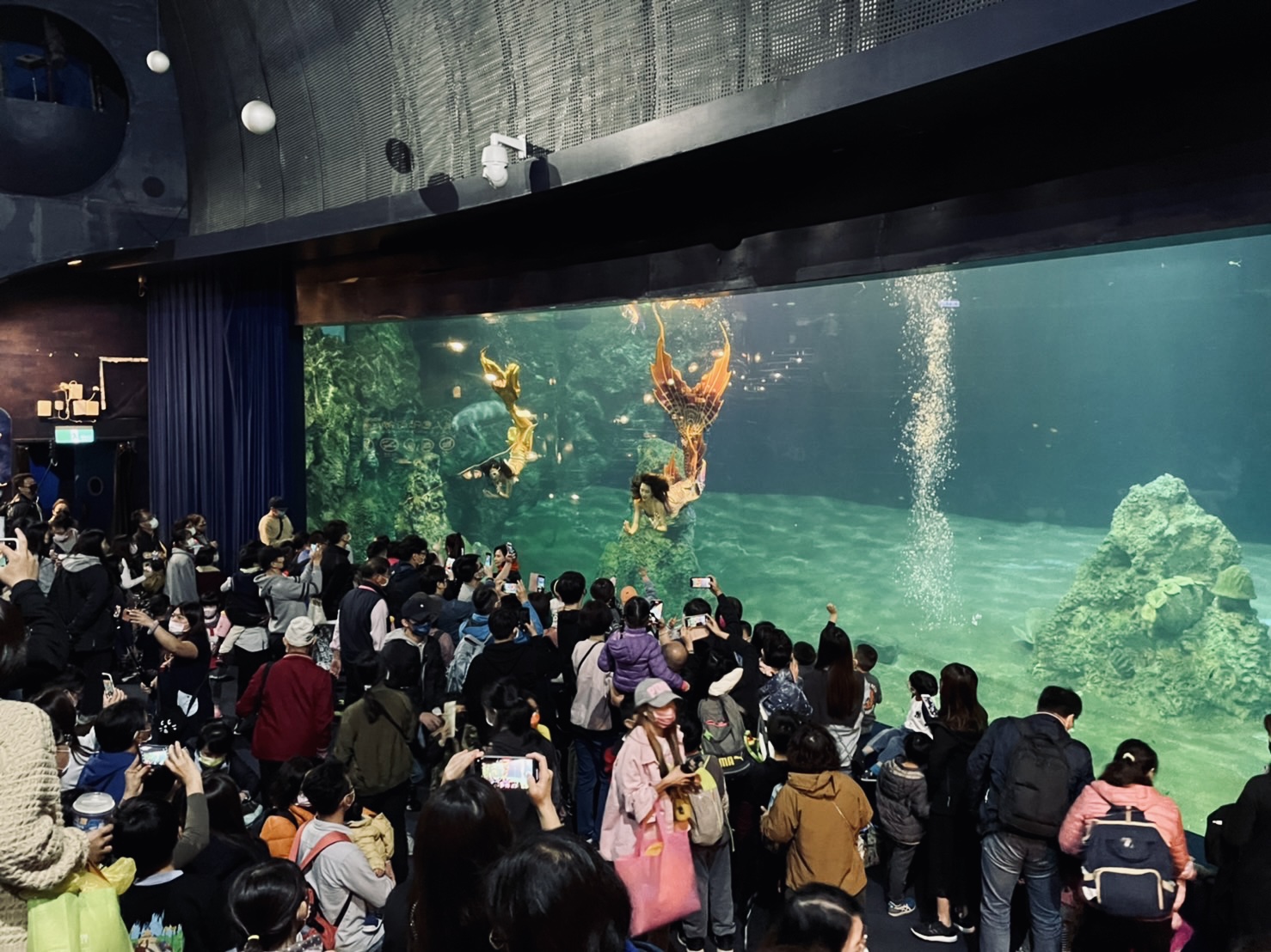 遠雄海洋公園 美人魚 海牛表演