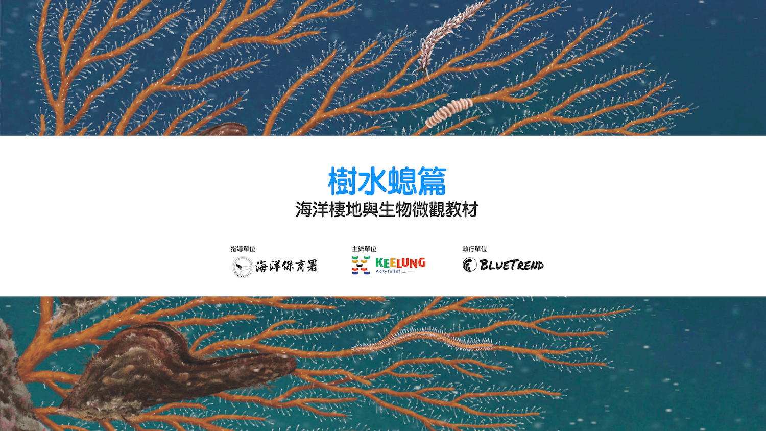 樹水螅篇