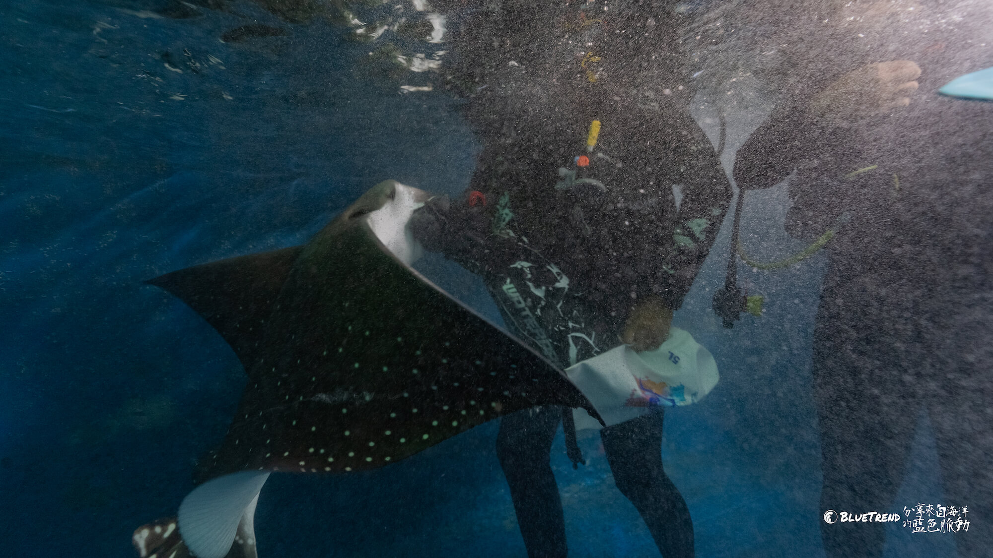 澎湖水族館 一日大洋潛水員