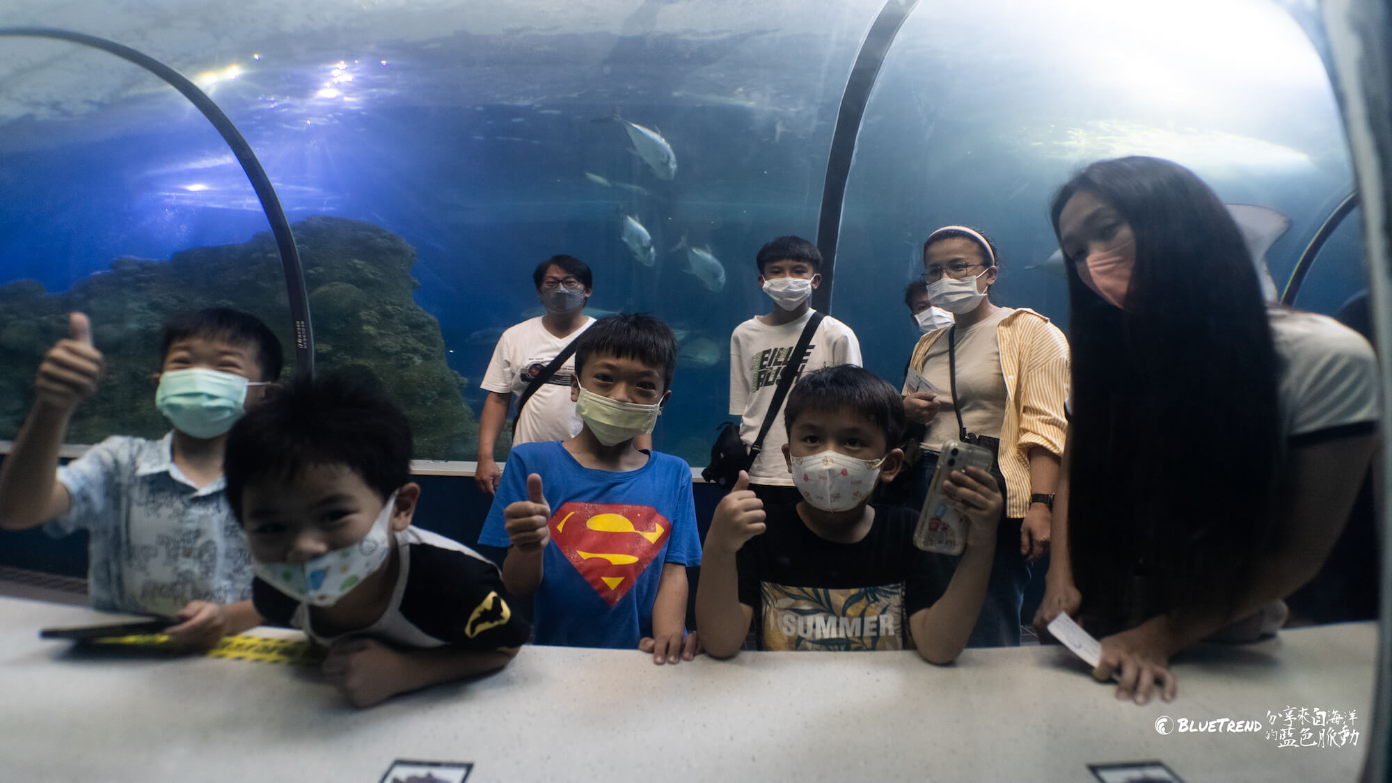 澎湖水族館 一日大洋潛水員