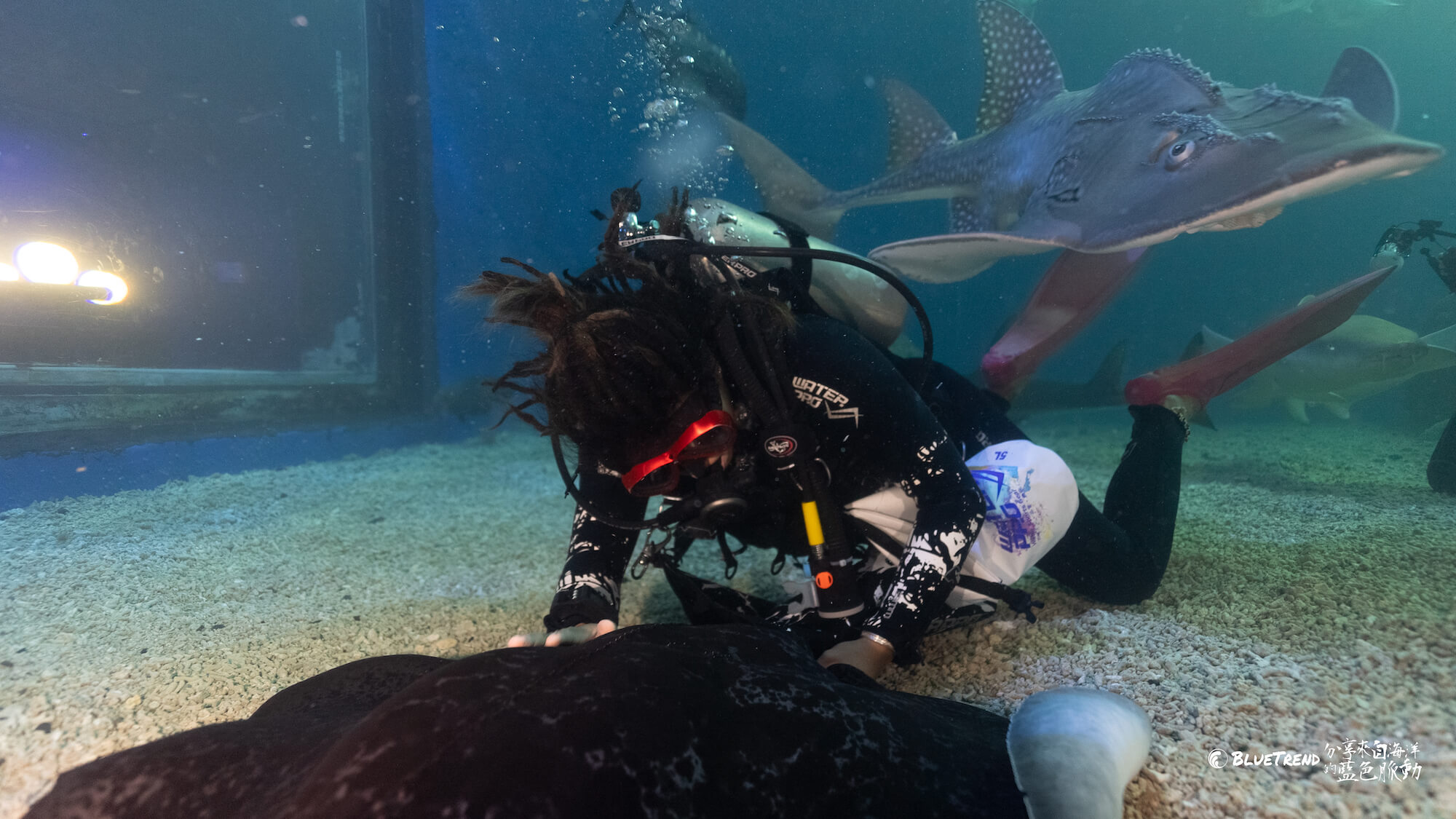 澎湖水族館 一日大洋潛水員