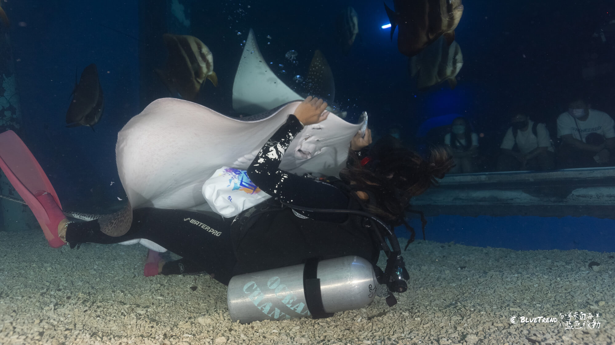 澎湖水族館 一日大洋潛水員