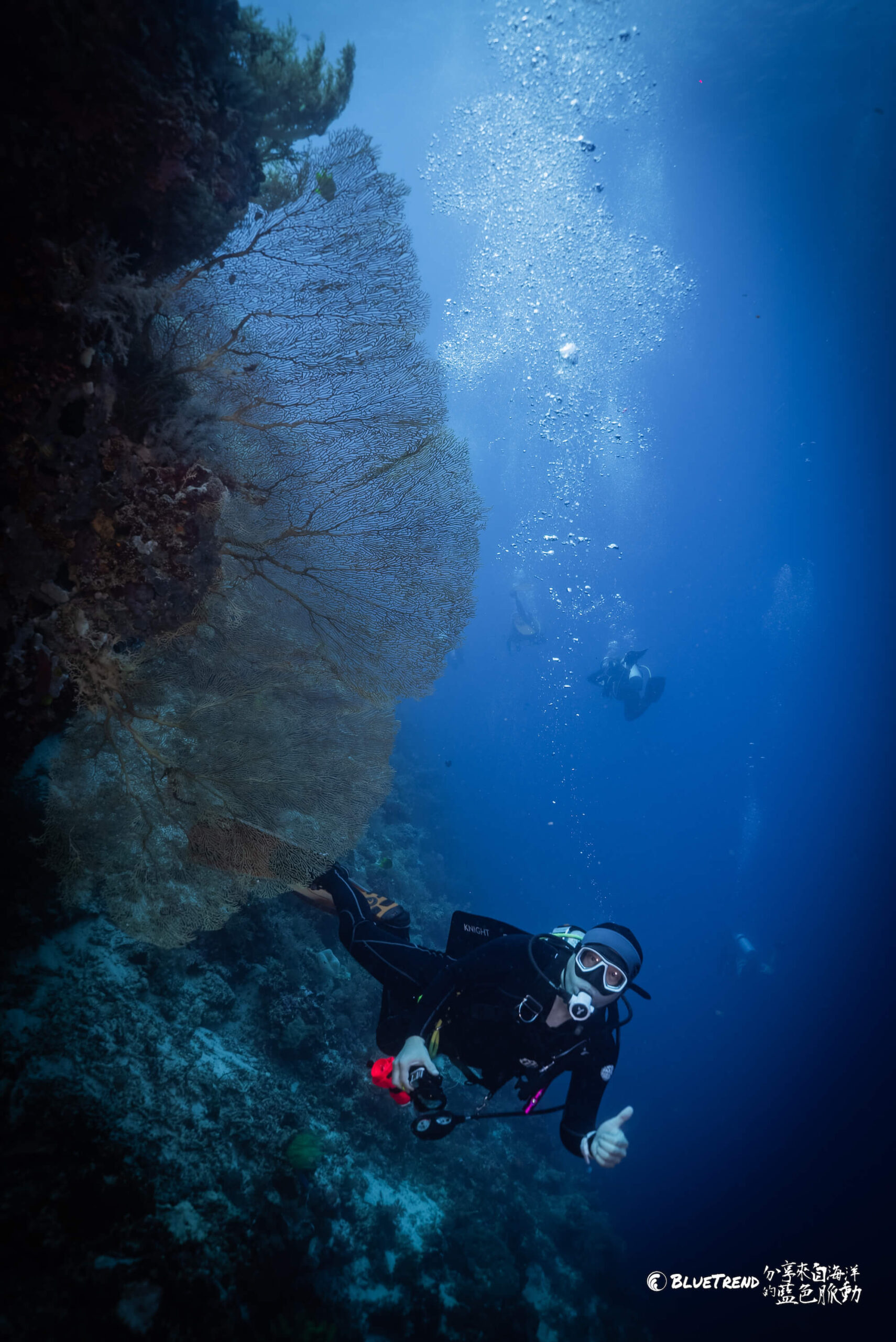 菲律賓 邦勞島 巴里卡薩島 Balicasag 潛水