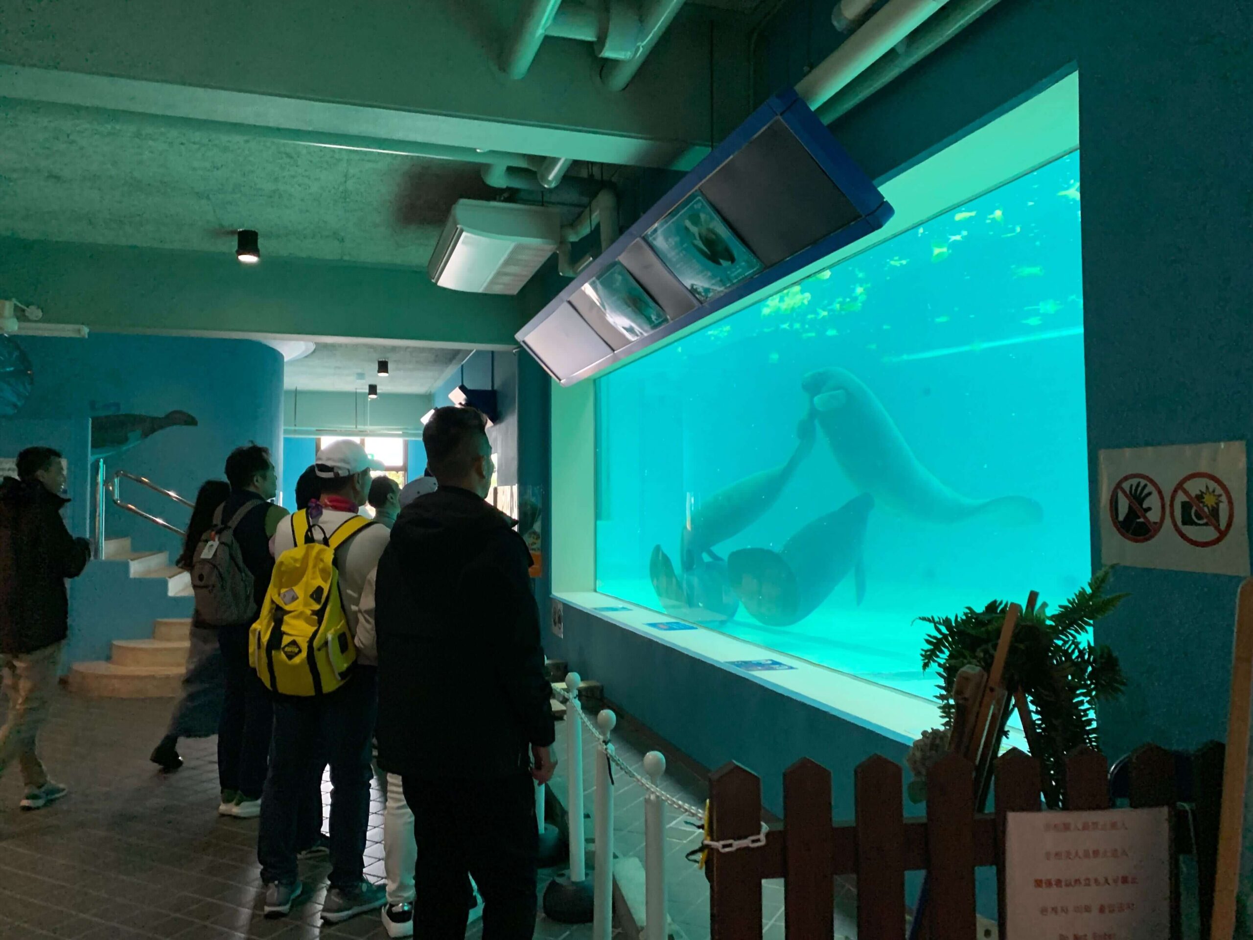 沖繩美海水族館外的海牛館