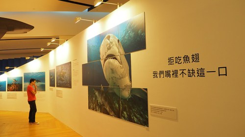 潛水海洋展