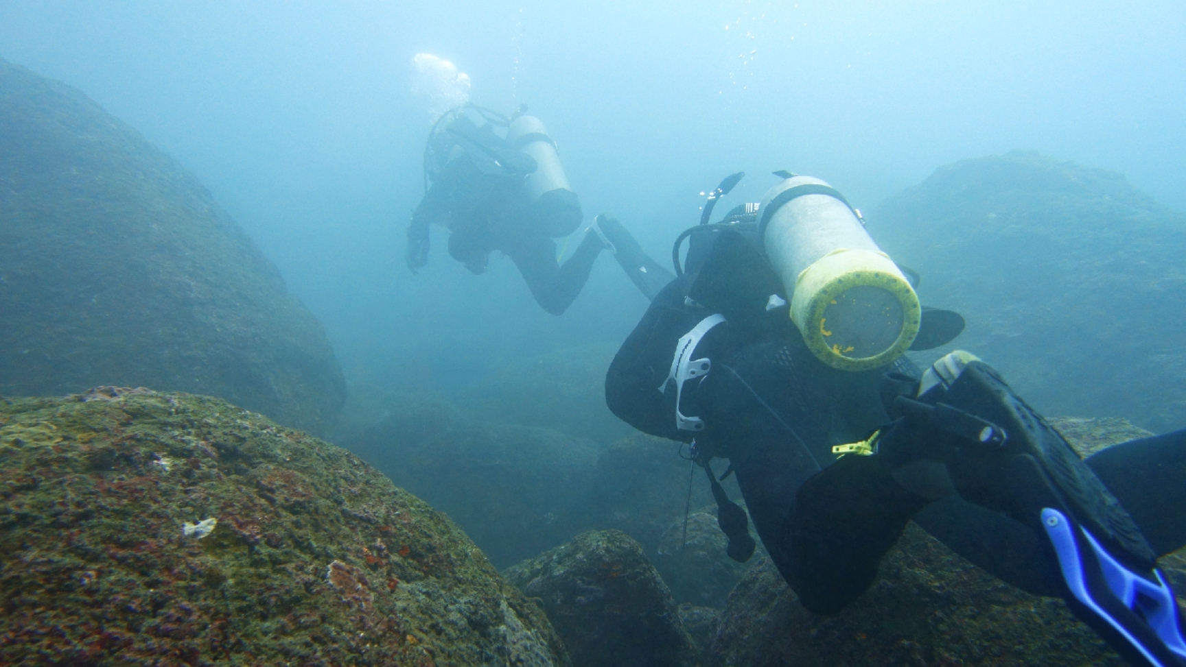 台灣-東北角-潛點-鶯歌石-taiwan-diving-spot-Northeast-coast-Yingge Rock