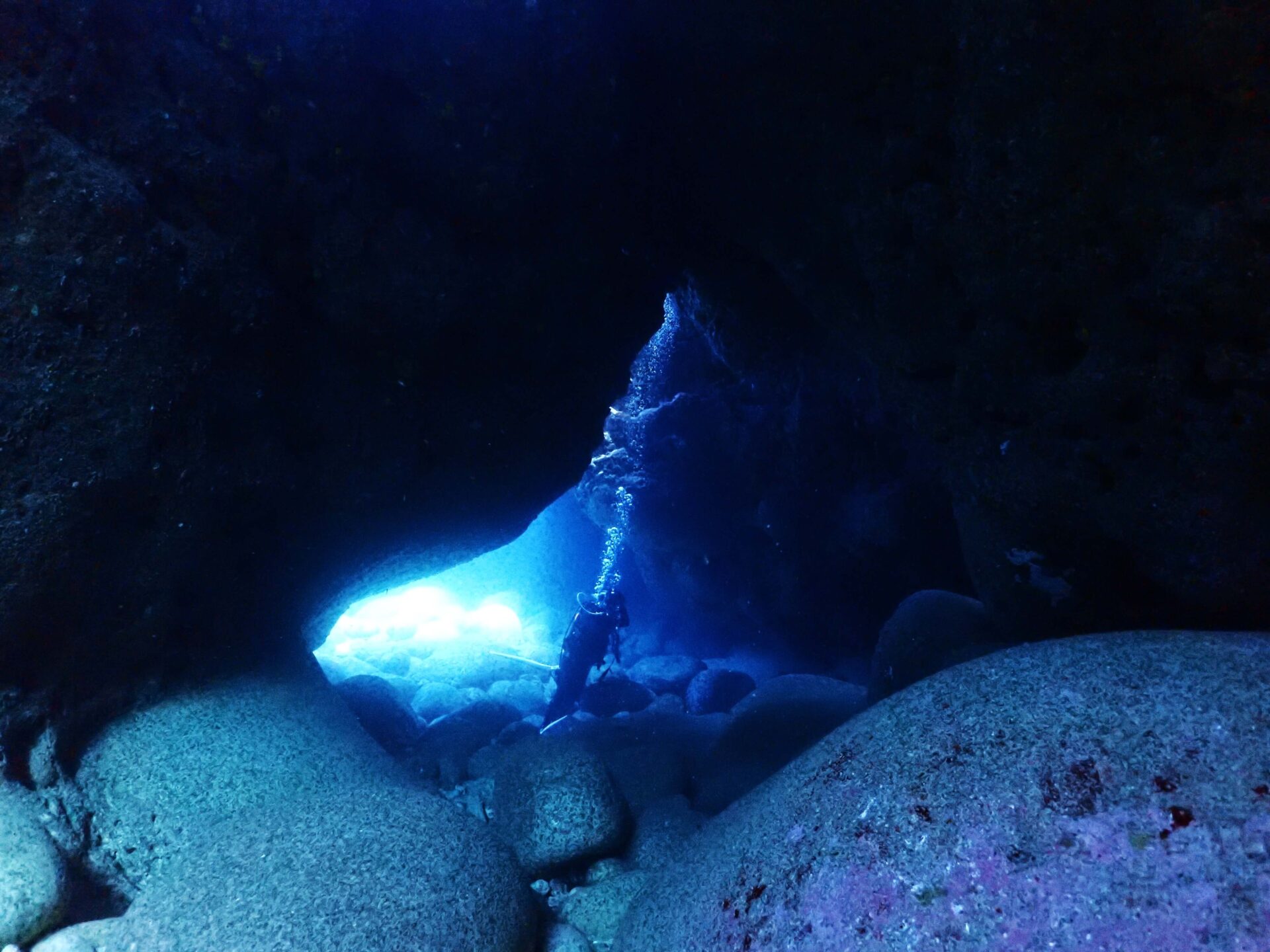 沖繩潛水,石垣島潛水,manta point