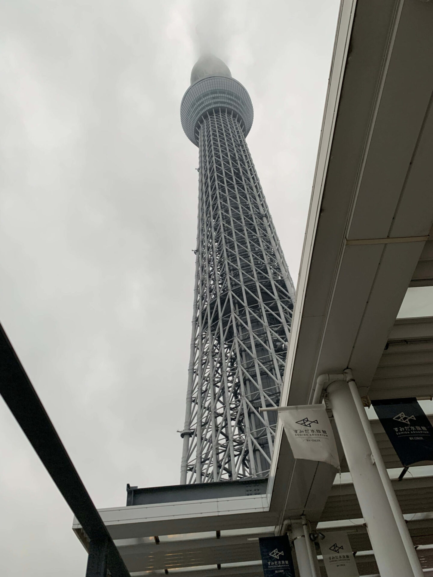 japan-tokyo-sumida-aquarium-東京-墨田水族館