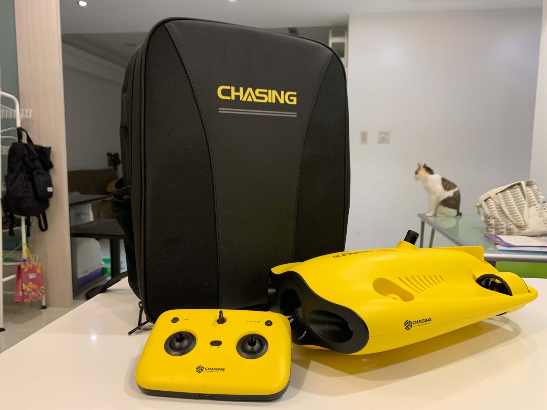 CHASING GLADIUS MINI 無人機 水下無人機 ROV 生態探索