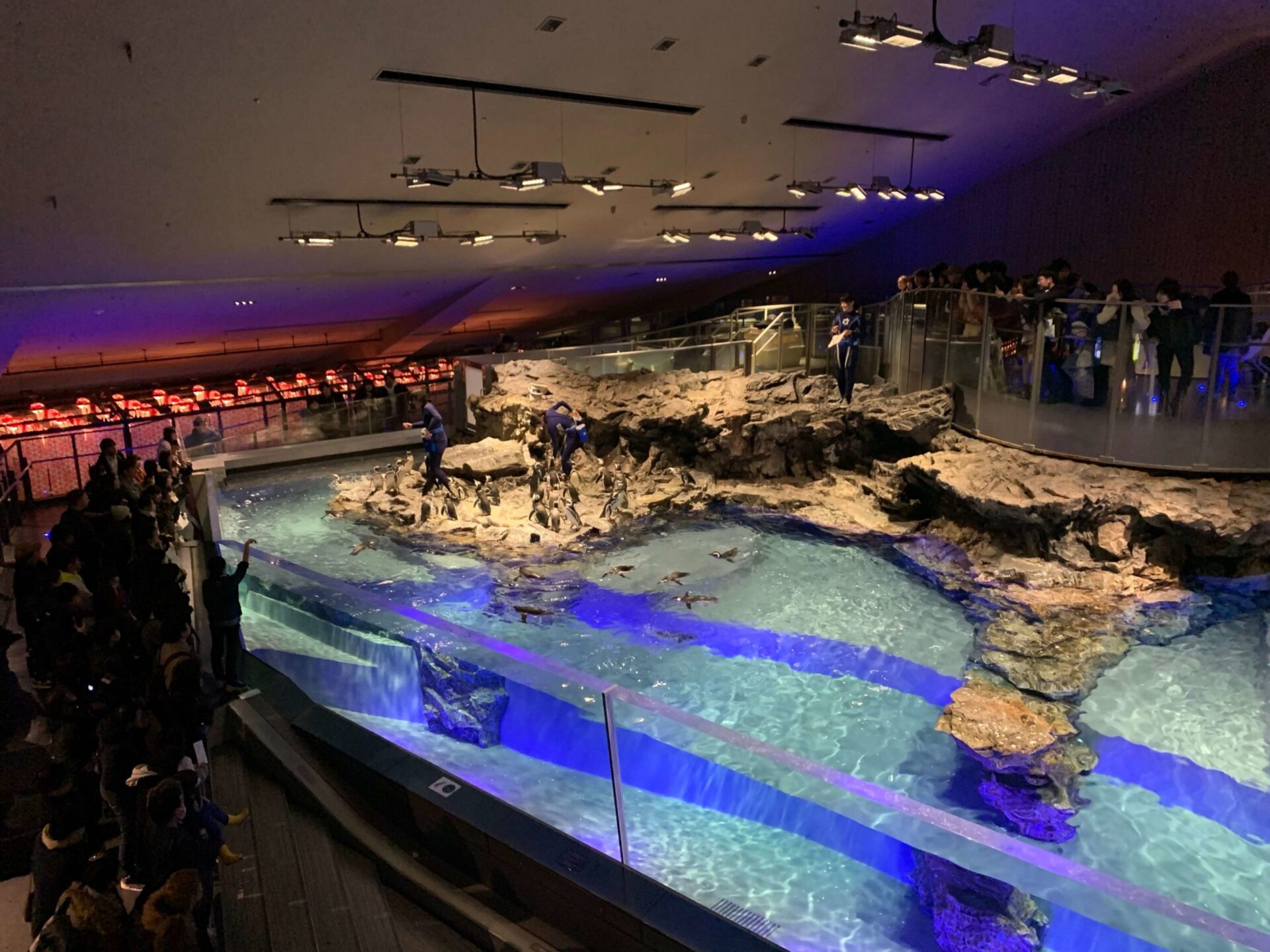 japan-tokyo-sumida-aquarium-東京-墨田水族館