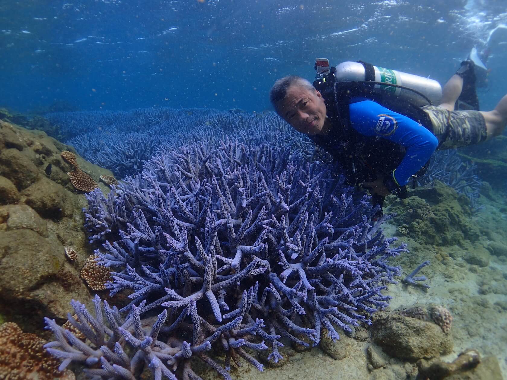 鯊魚哥 澎湖南方四島