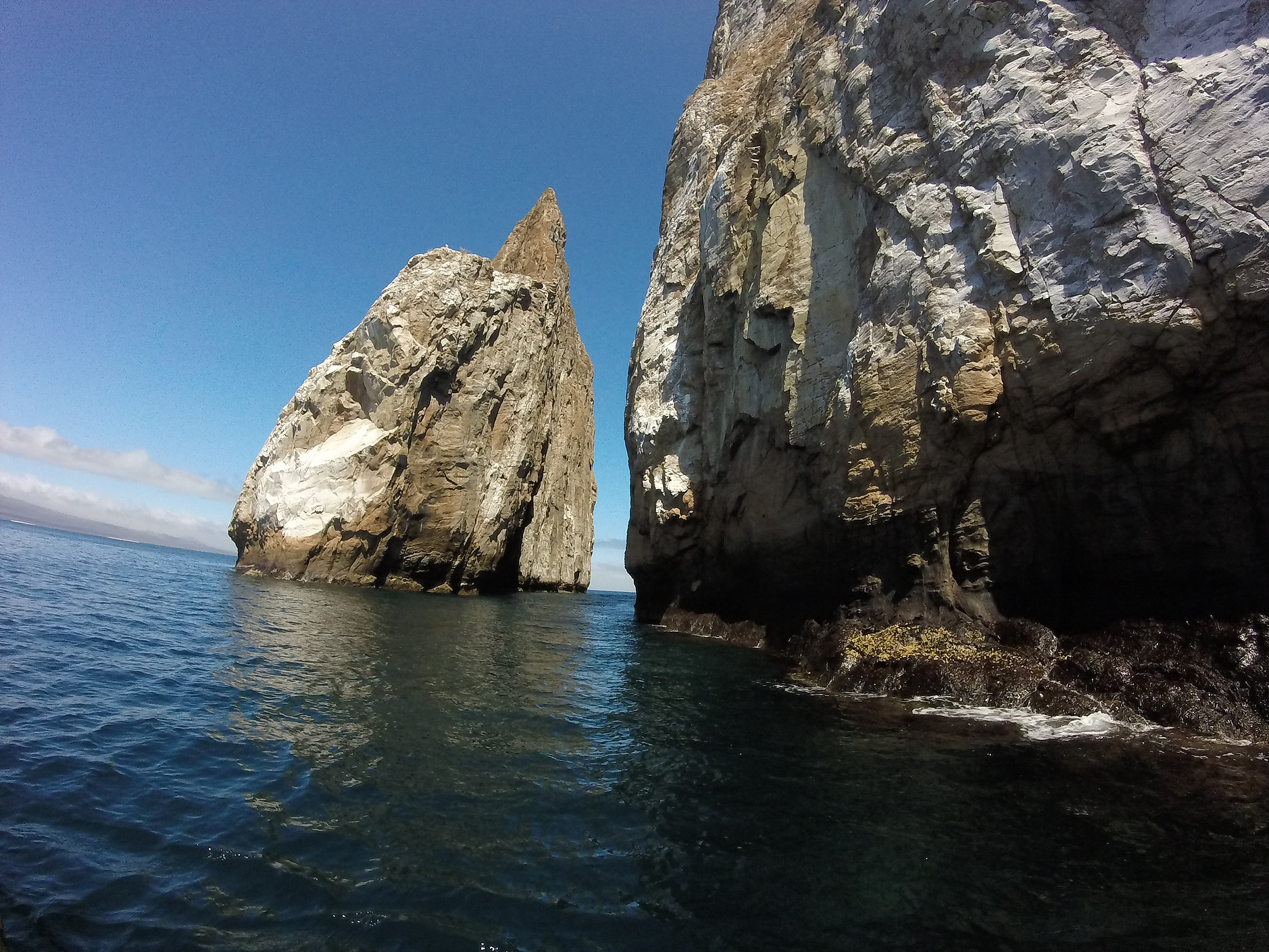 加拉巴哥群島 Ecuador Galapagos Islands Kicker Rock 鎚頭鯊 hammerhead shark