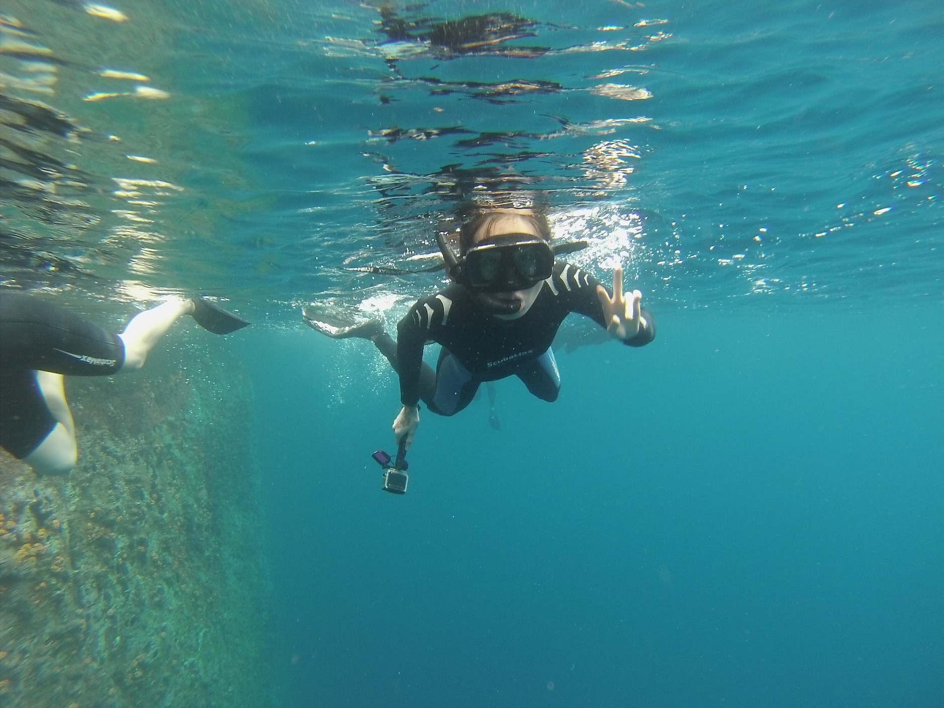 加拉巴哥群島 Ecuador Galapagos Islands Kicker Rock 鎚頭鯊 hammerhead shark