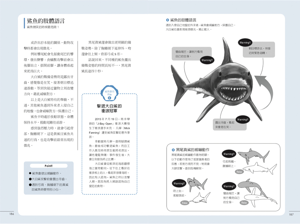 鯊魚圖鑑 shark