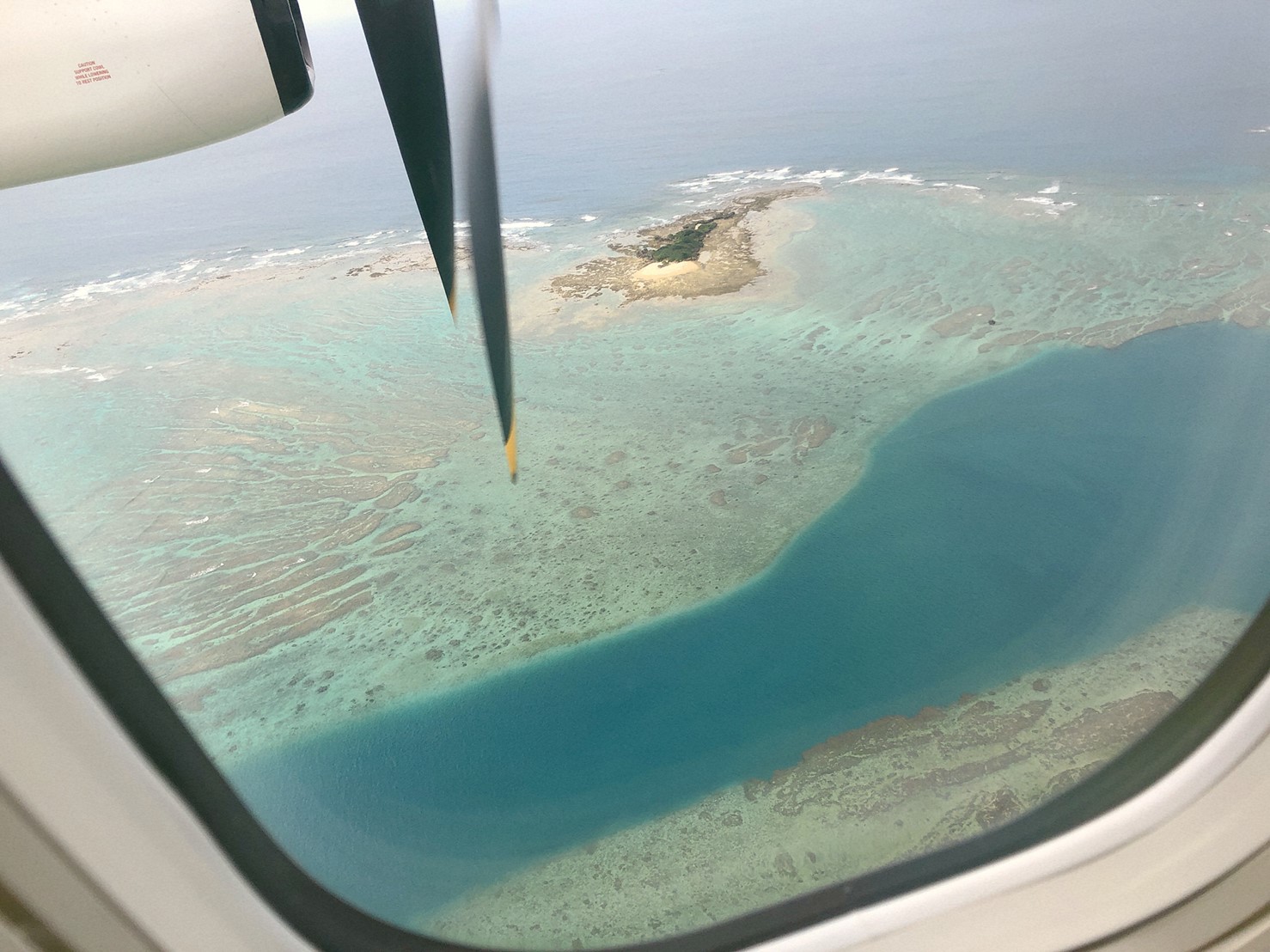 日本 沖繩 與那國 潛水 錘頭鯊 海底遺跡