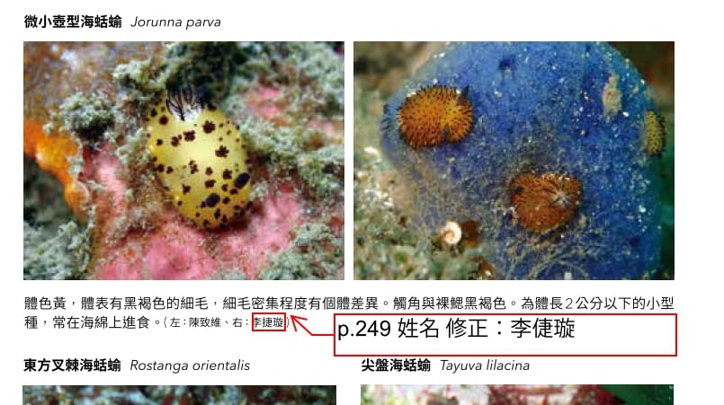 海洋博物誌 東北角 海洋圖鑑 魚類圖鑑