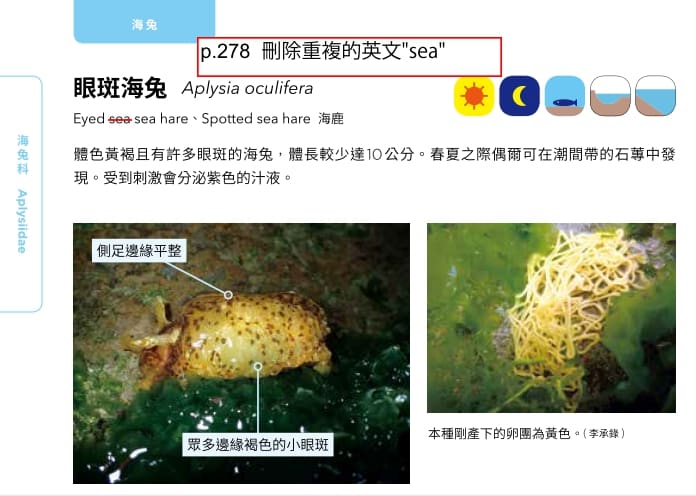 海洋博物誌 東北角 海洋圖鑑 魚類圖鑑