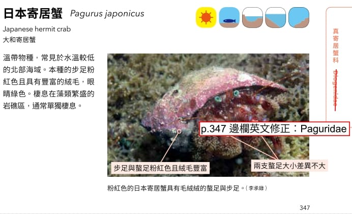 海洋博物誌 東北角 海洋圖鑑 魚類圖鑑