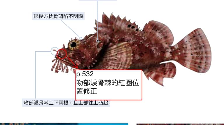 海洋博物誌 東北角 海洋圖鑑 魚類圖鑑