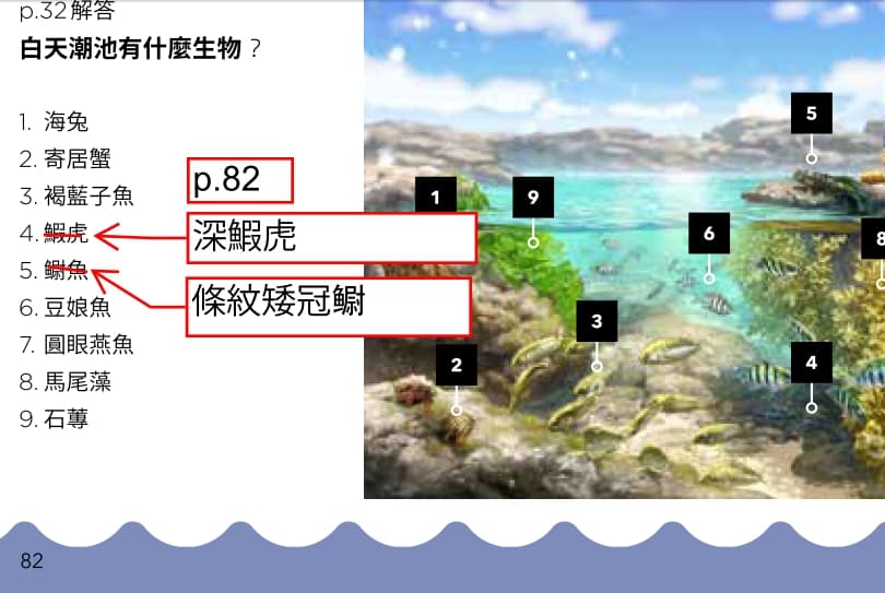 海洋博物誌 東北角 海洋圖鑑 魚類圖鑑