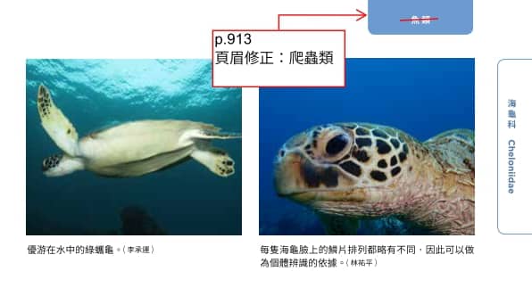 海洋博物誌 東北角 海洋圖鑑 魚類圖鑑