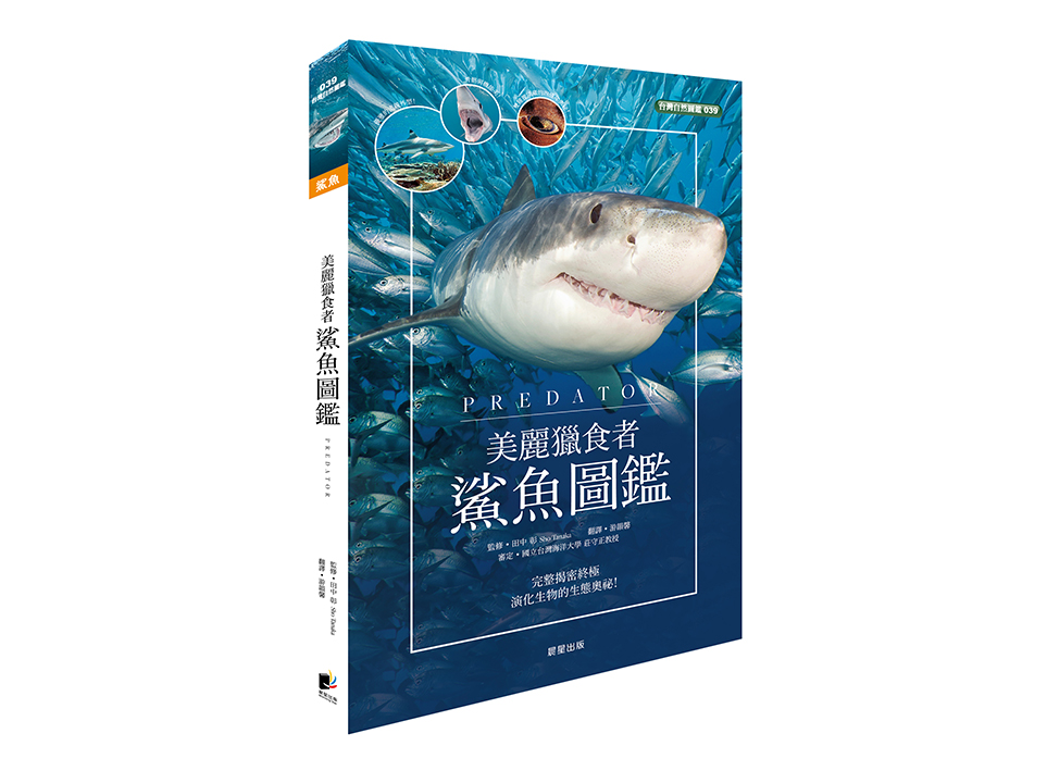 鯊魚圖鑑 shark