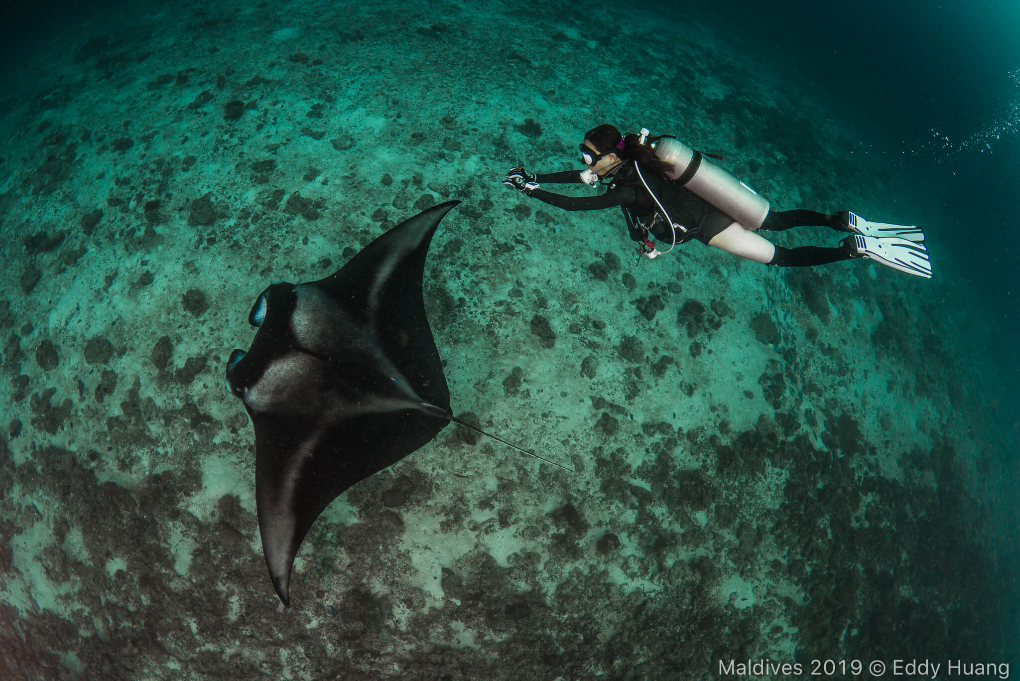 馬爾地夫  船宿 J&J HOME Maldives Liveaboard  Ｍanta 潛水 馬爾地夫潛水