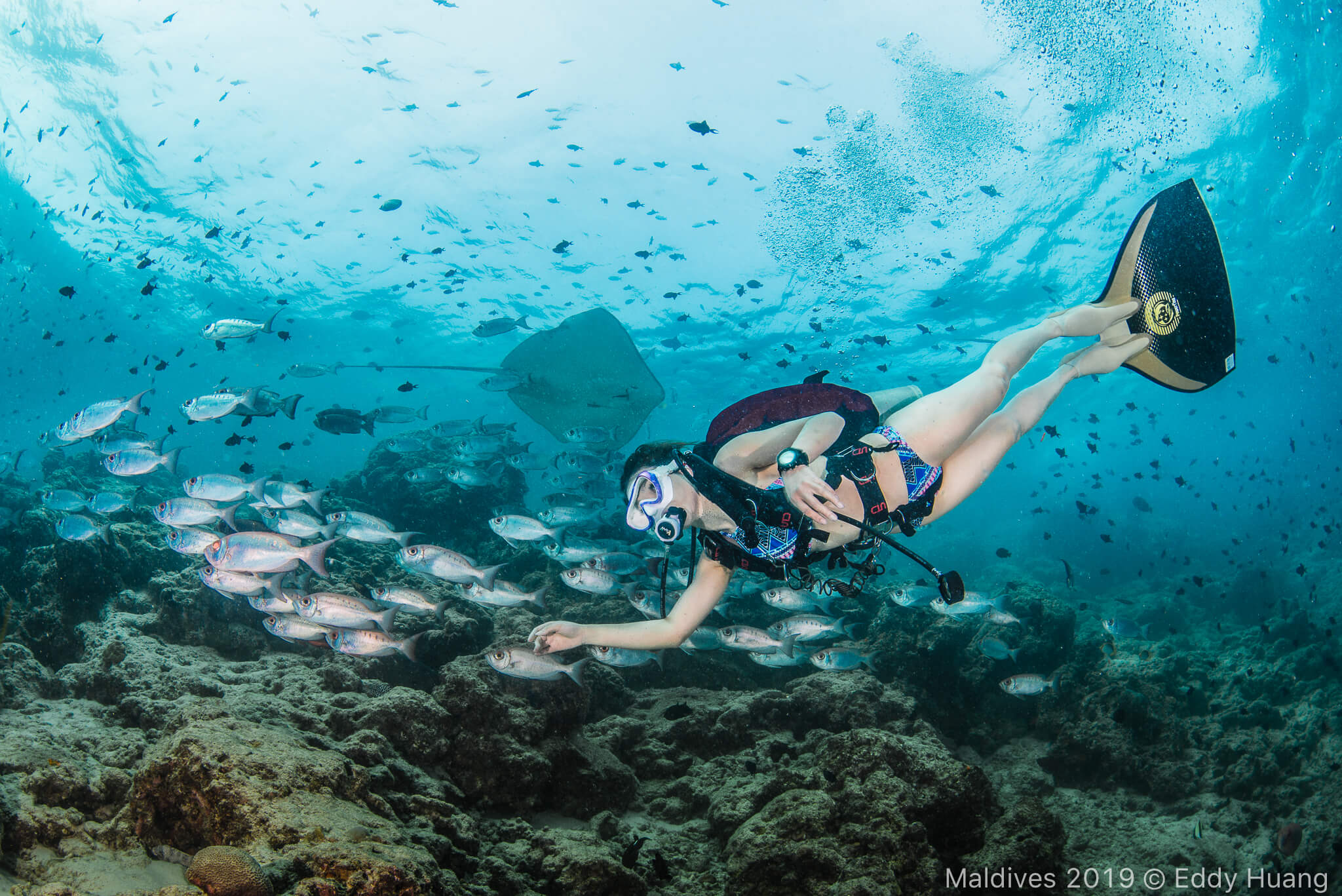 馬爾地夫  船宿 J&J HOME Maldives Liveaboard  Ｍanta 潛水 馬爾地夫潛水