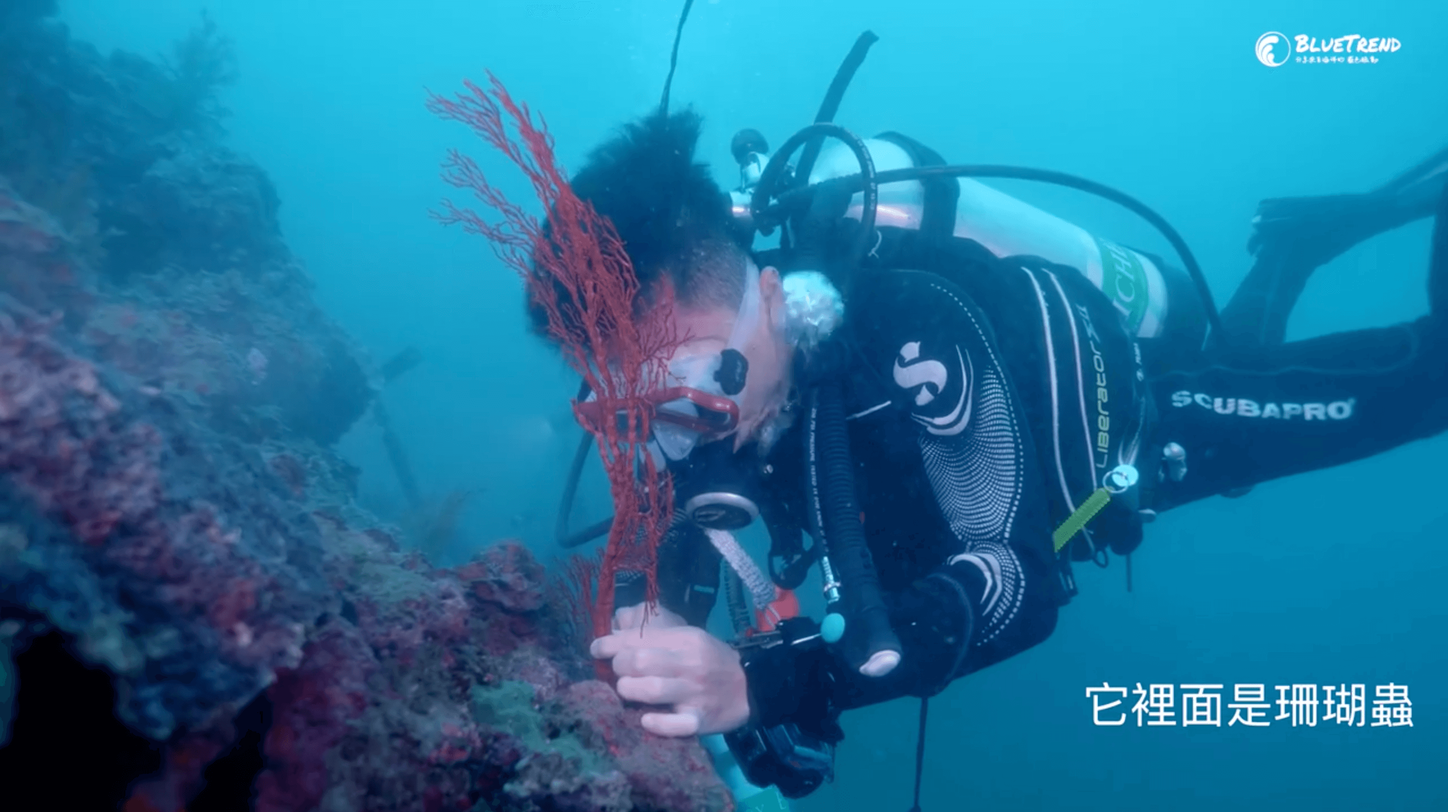 潮境海灣節 潮境 望海巷灣 揪潛水 大頭師