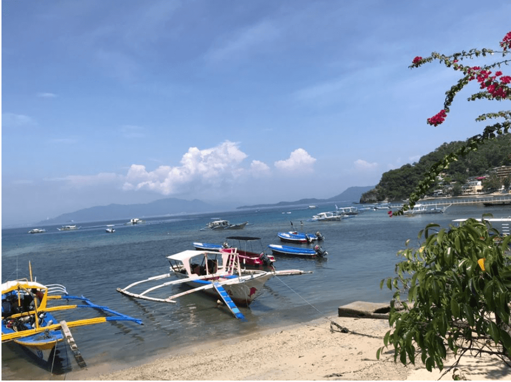 菲律賓,pg島,菲律賓潛水